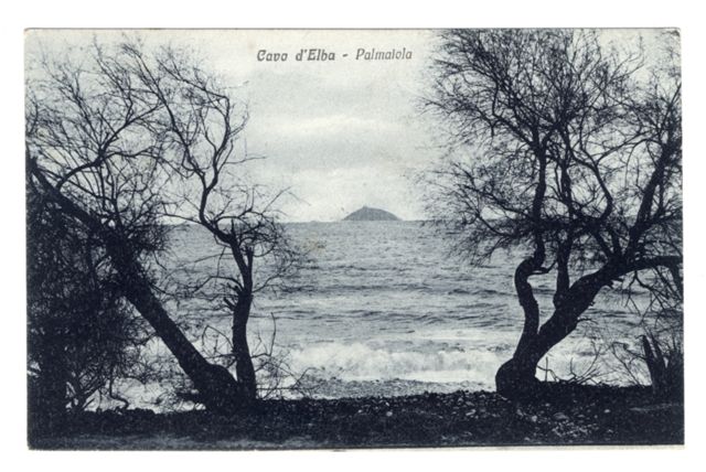 FFC038607 CAVO D'ELBA - PALMAROLA VEDUTA DELL'ISOLA