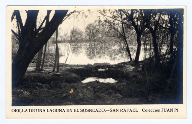 FFC041398 ORILLA DE UNA LAGUNA EN EL SOSNEADO - SAN RAFAE...